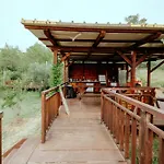 Luksuzni šator Glamping Bell Tent Robinson Ljubac (Zadar)