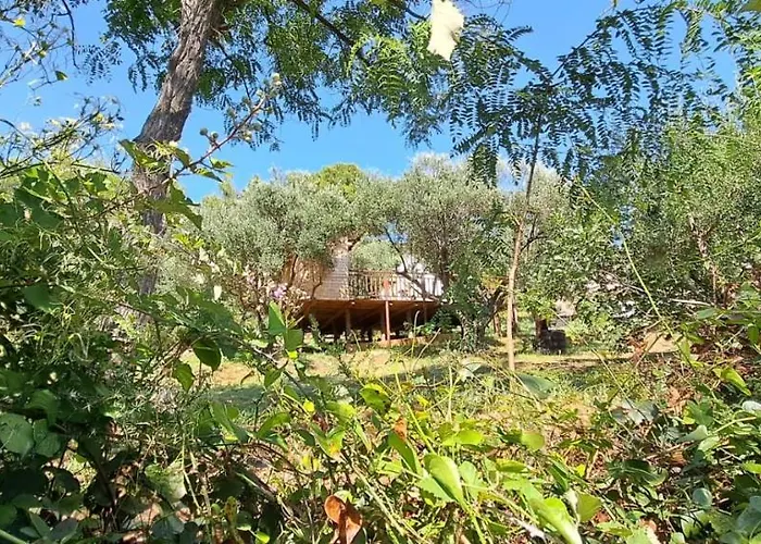 Glamping Bell Tent Robinson