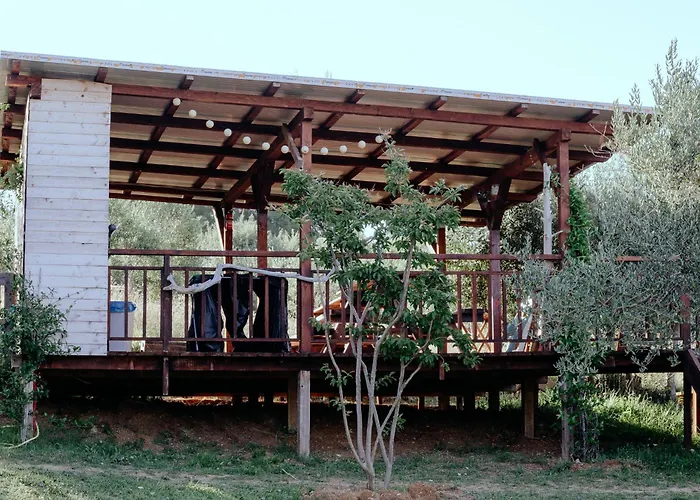 Роскошный шатер Glamping Bell Tent Robinson *