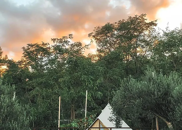 Glamping Bell Tent Robinson Ljubač