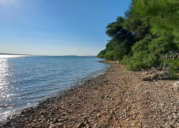 Роскошный шатер Glamping Bell Tent Robinson