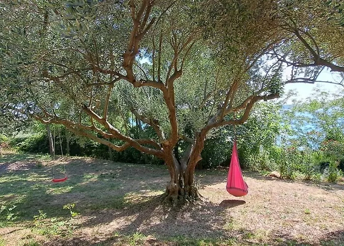 Lyxtält Glamping Bell Tent Robinson