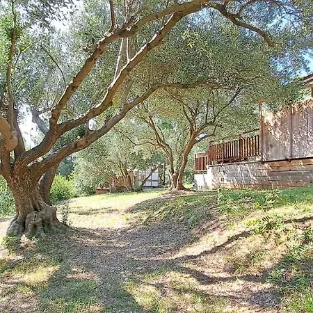 Glamping Bell Tent Robinson