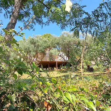 Glamping Bell Tent Robinson