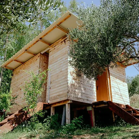 Luksusowy namiot Glamping Bell Tent Robinson