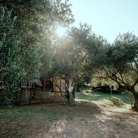 Glamping Bell Tent Robinson אוהל מפואר *