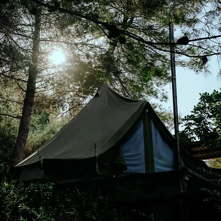 Glamping Bell Tent Robinson