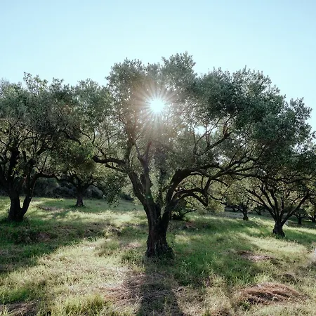אוהל מפואר Glamping Bell Tent Robinson Ljubač