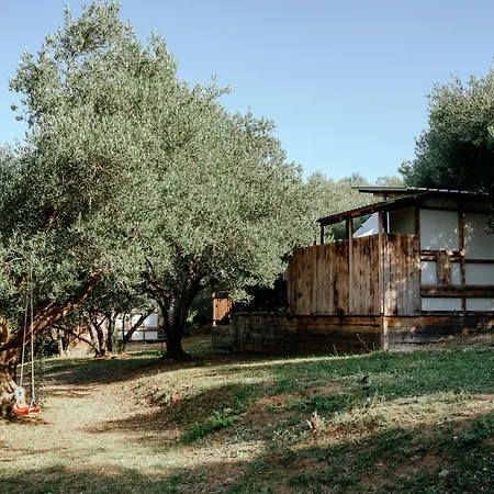 אוהל מפואר Glamping Bell Tent Robinson *