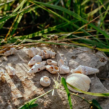 Glamping Bell Tent Robinson Ljubač