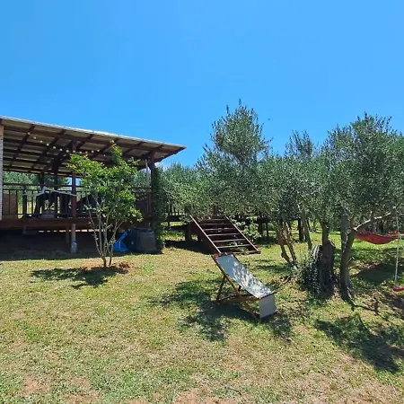 Glamping Bell Tent Robinson Luksusowy namiot