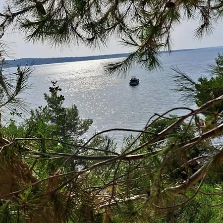 Glamping Bell Tent Robinson Ljubač