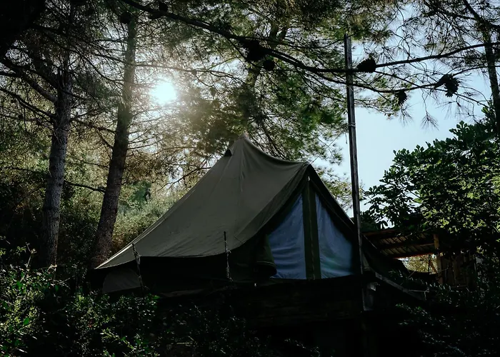 Glamping Bell Tent Robinson