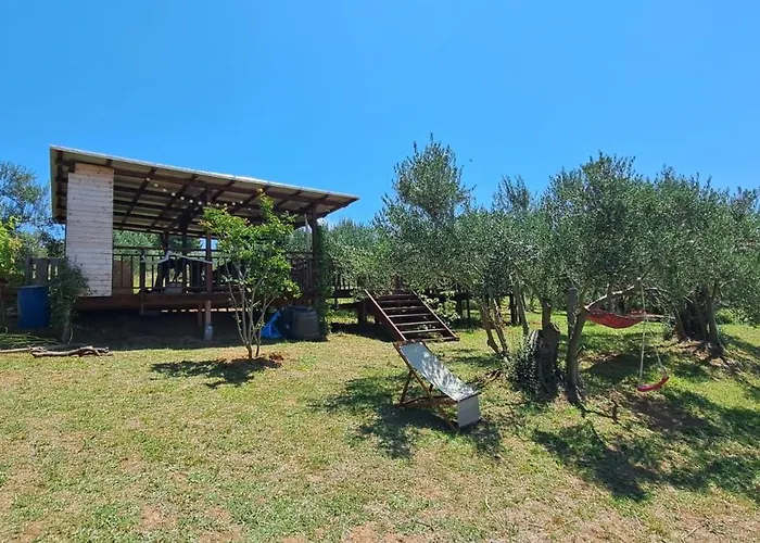 Glamping Bell Tent Robinson ラグジュアリーテント